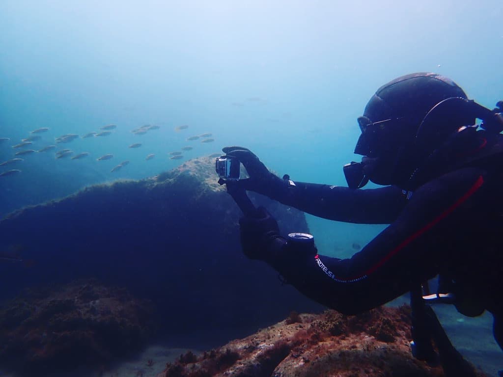 Marine life Mediterranean