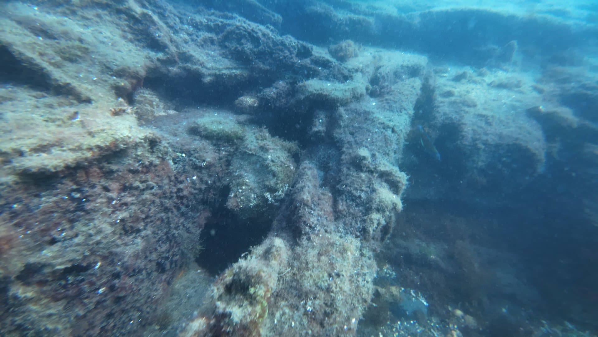 Le Lys Wreck