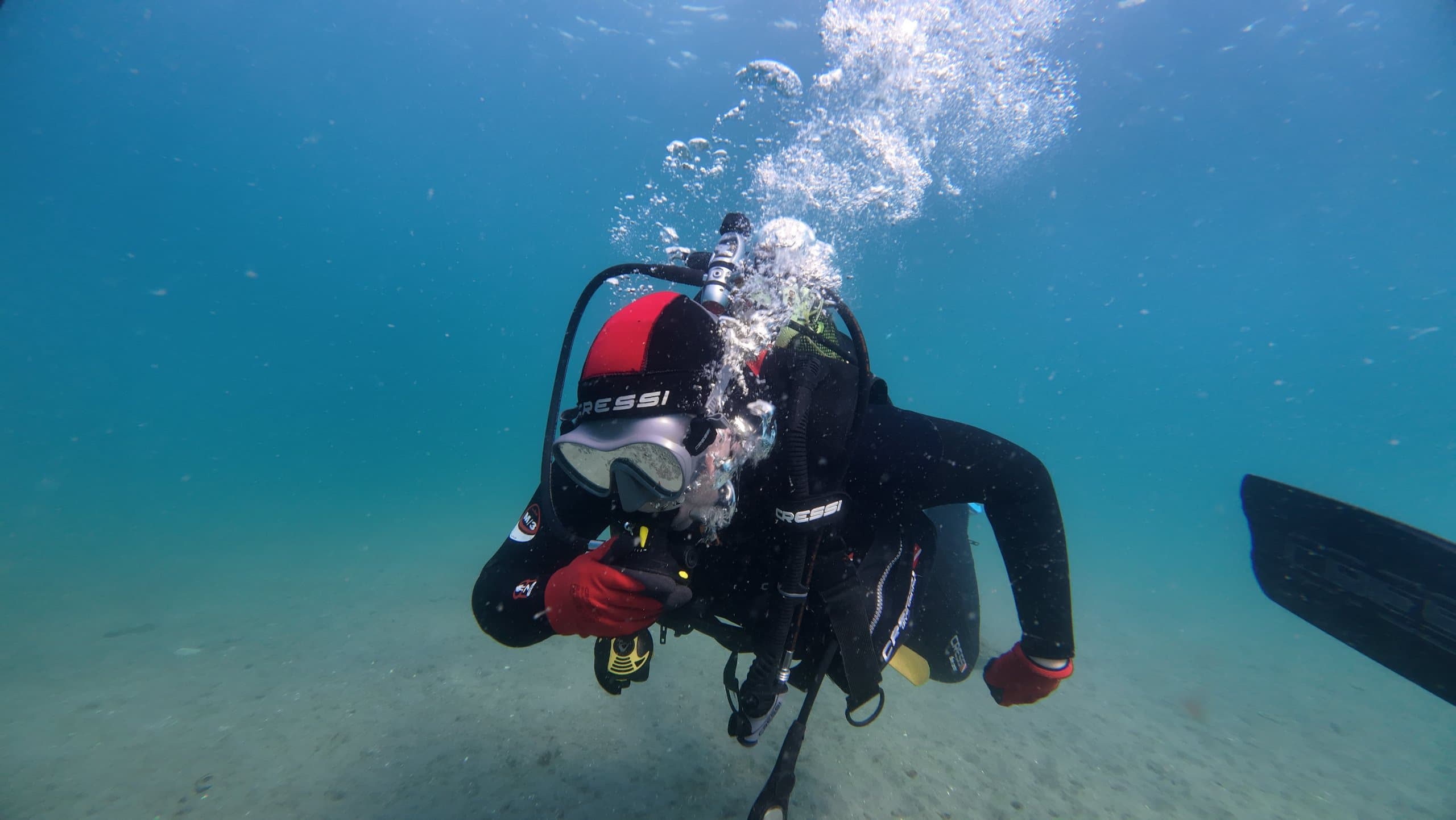 PADI ReActivate