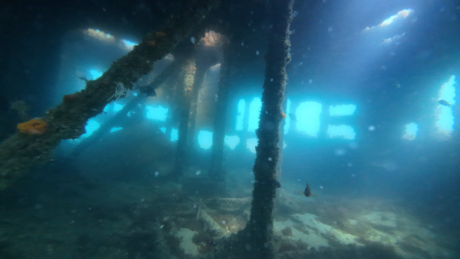 Gibraltar Dual Dive