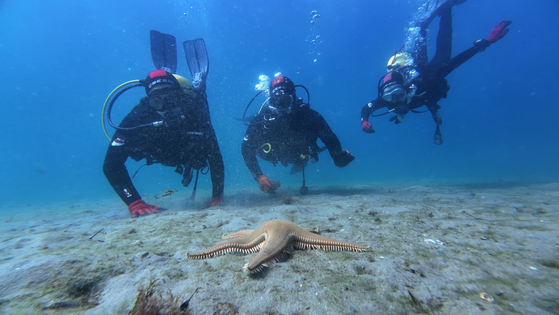 Dive Excursion — Multi Dive