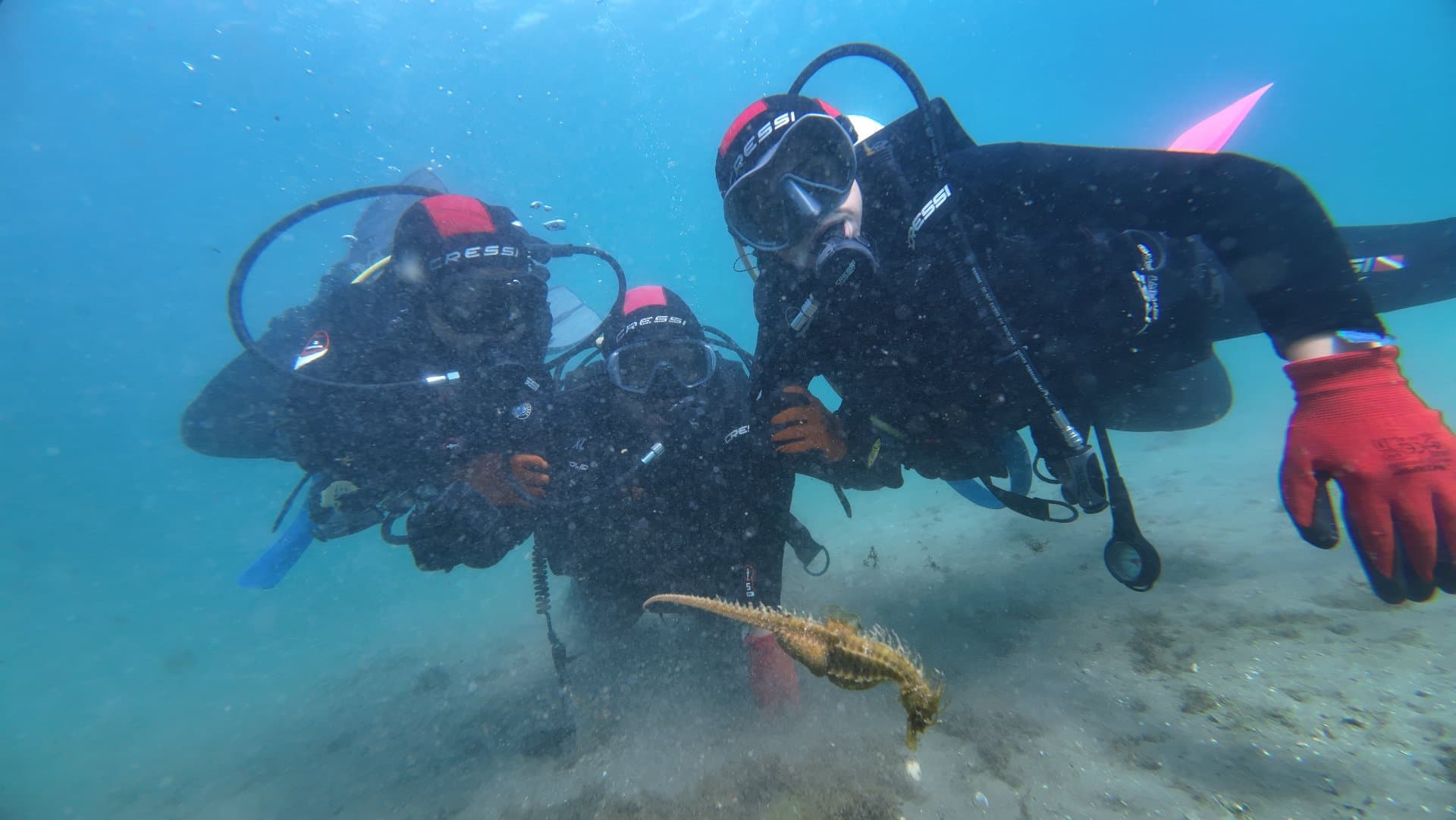Dive Excursion — Multi Dive