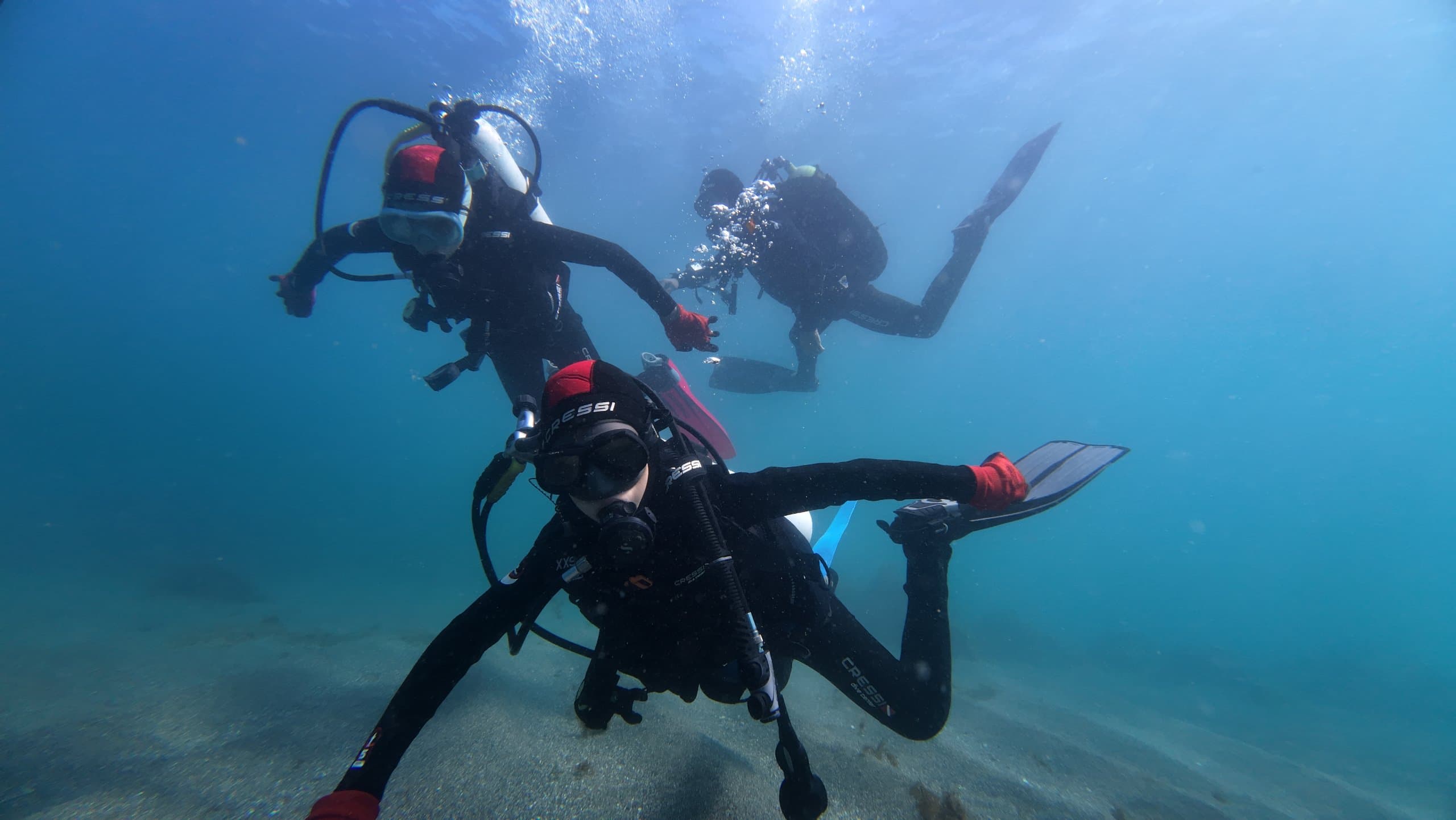 PADI Divemaster Course