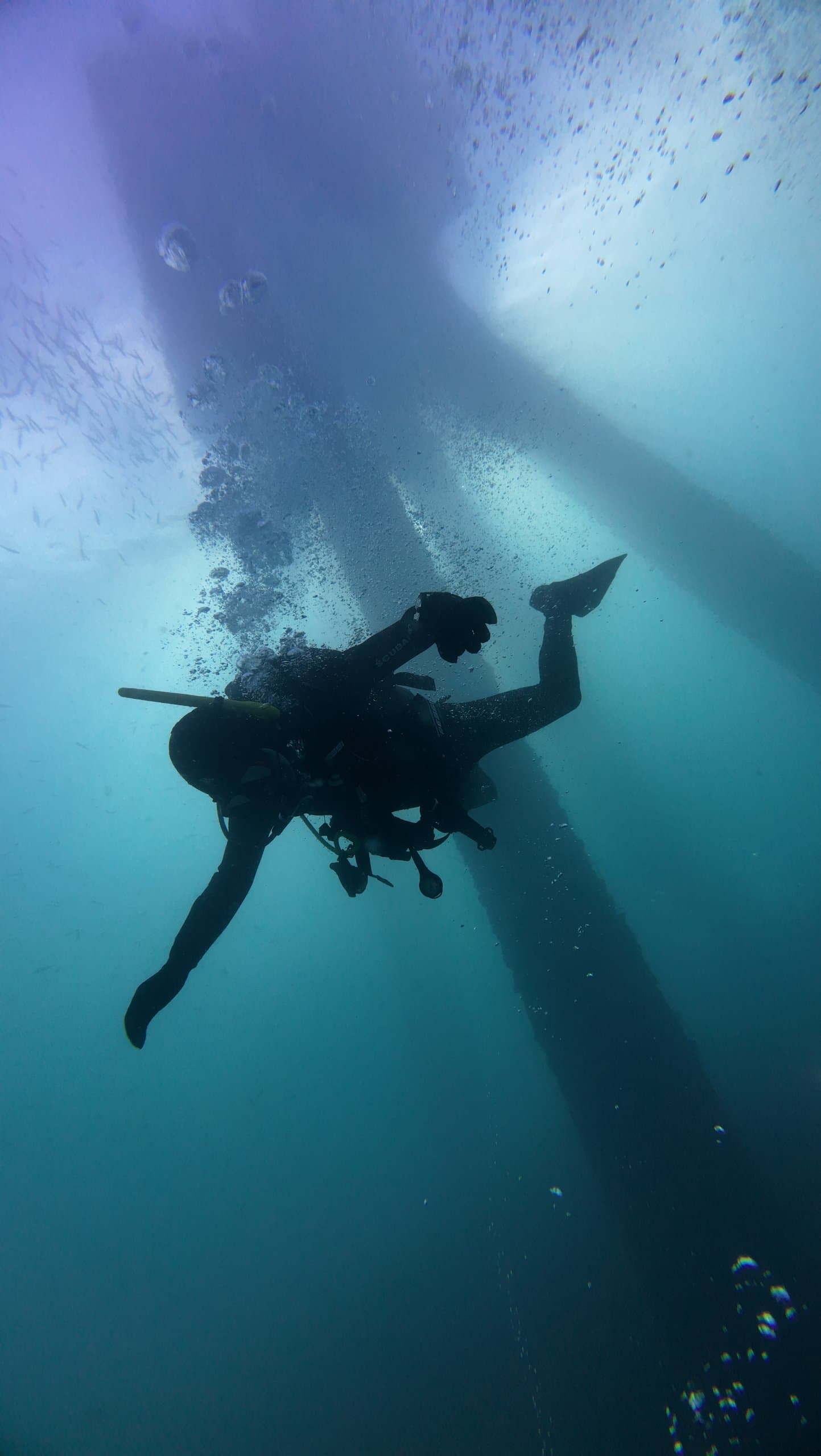 PADI Divemaster Course